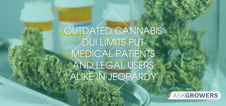Outdated cannabis DUI limits put medical patients and legal users alike in jeopardy